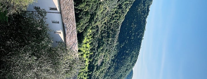 Parco della Rocca is one of Umbria.