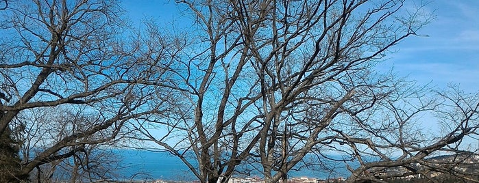 Botanik Bahçesi is one of Trabzon to Do List.