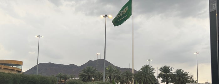 Sourd is one of Saudi Arabia 🇸🇦.