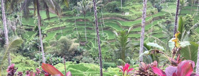 Terasering Tegal  Alang is one of Bali places.