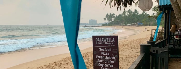 Dalawella Beach Resort is one of sri.