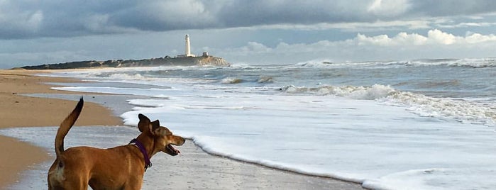 Playa de Zahora is one of Cadiz.