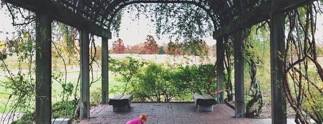 United States National Arboretum is one of explore DC.