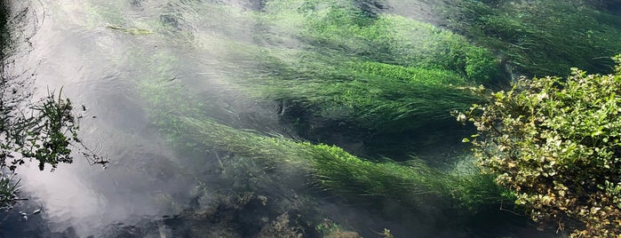 Te Waihou Walkway is one of Rendez-vous En Terre Du Milieu.