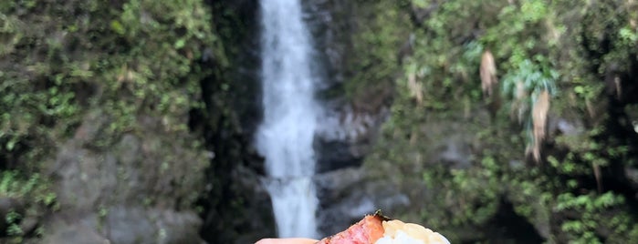 Makaleha Falls is one of Lugares favoritos de Wesley.