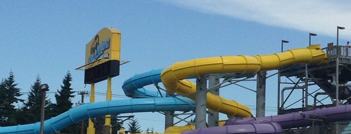 Wild Waves Theme & Water Park is one of America's Best Water Parks.