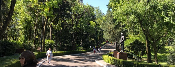 Calzada De Los Presidentes is one of Tempat yang Disukai Mary Toña.