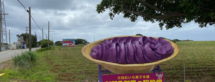 御菓子御殿の契約畑 is one of 沖縄.
