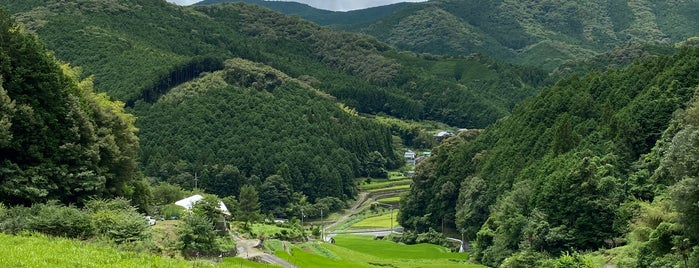 堂の坂棚田 is one of 日本の棚田百選.