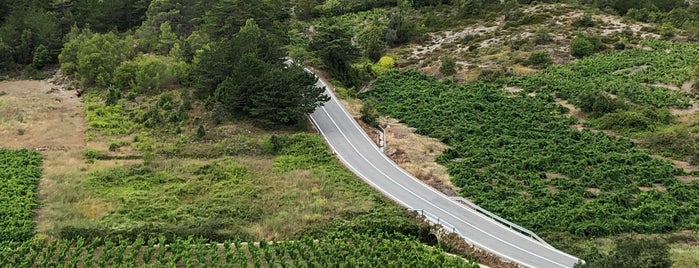 Saints Hills Winery is one of Korcula.