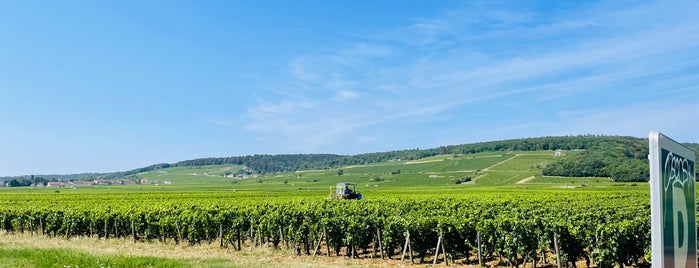 Route Des Grands Crus is one of Borgonha.