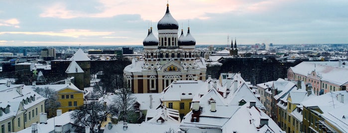 Смотровая площадка Домского собора is one of Таллин.