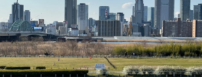 淀川河川公園 西中島地区 is one of サイクルロード.