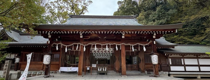 Shijonawate Shrine is one of 別表神社二.
