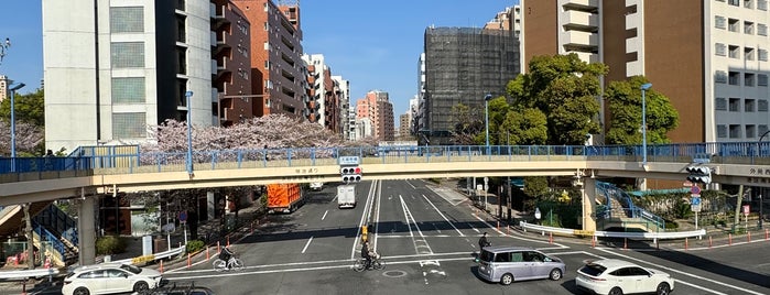 Tengenji Brdg. Intersection is one of 東京橋.