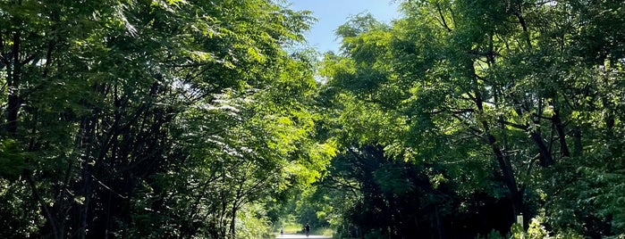 東淀川区 is one of 近畿の市区町村.