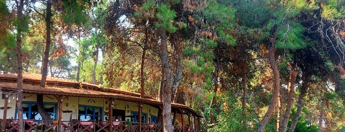 Antik Köy Kahvaltı Evi is one of anatolian trip.