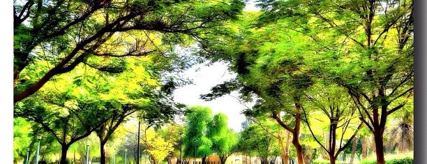 Mushrif Park is one of Life in Dubai.