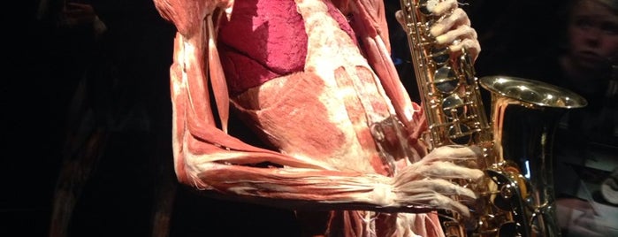 Body Worlds is one of All Museums in Amsterdam ❌❌❌.