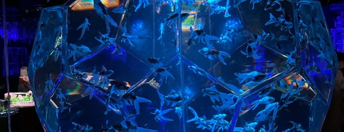 Art Aquarium Museum Ginza is one of Tokyo 🇯🇵.