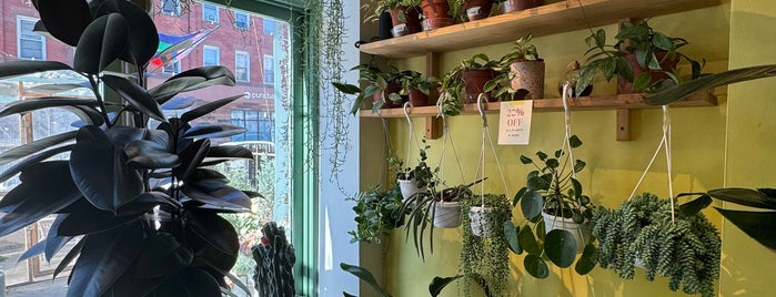 Tend Greenpoint is one of GP & WB - Favorites.