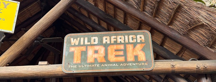 Wild Africa Trek is one of Animal Kingdom.