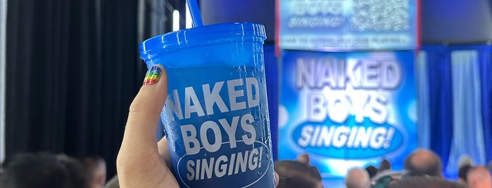 Naked Boys Singing! is one of Off Broadway Venues.
