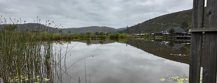 Botlierskop Private Game Reserve is one of Cape Town.