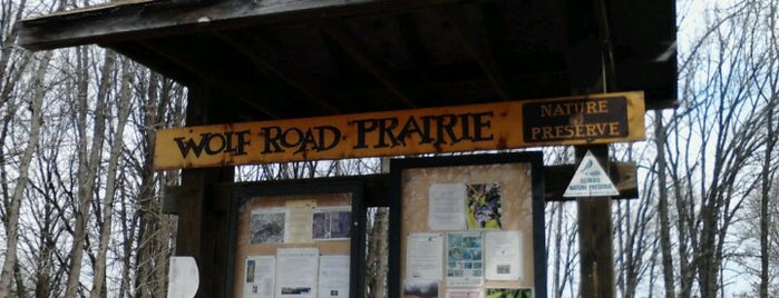 Wolf Road Prairie Nature Preserve is one of Illinois Nature Preserves.