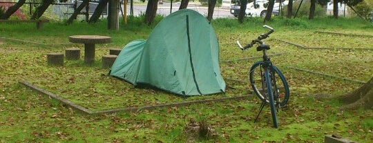 糸根地区公園 is one of 無料キャンプ場.