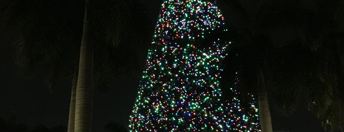 Delray Beach Christmas Tree is one of Delray.