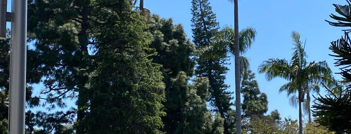 Spreckels Park is one of Coronado Island (etc).