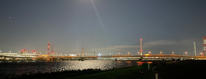 葛西橋 is one of 橋/陸橋.