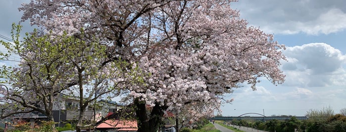 大神公園 is one of 多摩川.