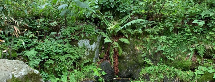 甘露泉水 is one of 名水百選.