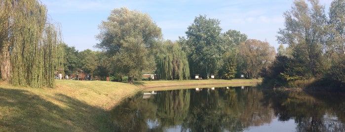 Bánki Arborétum is one of Discover Debrecen.