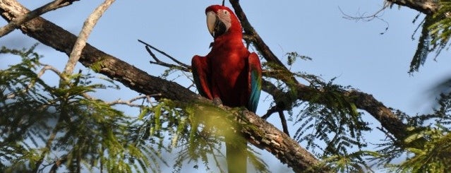 Buraco das Araras is one of Lugares favoritos de Jefferson.