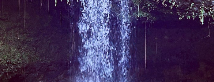 Twin Falls is one of Tempat yang Disukai Lenny.
