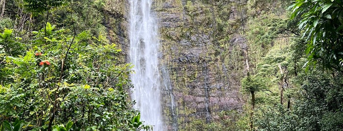 Wai‘ānapanapa State Park is one of Tempat yang Disukai Lenny.