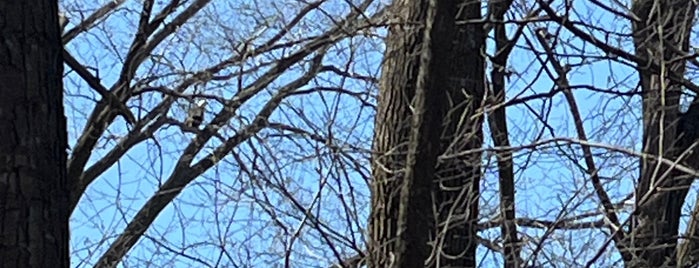 Staring Lake Park is one of Twin Cities Disc Golf Courses.