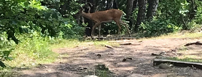 Acorn Disc Golf Course is one of Bucket List.