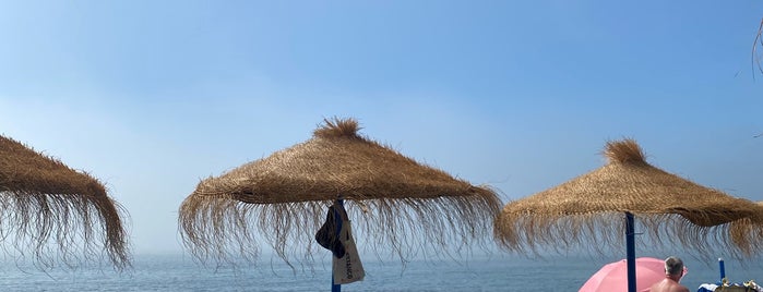 Playa Bahía Marbella is one of Spagna.