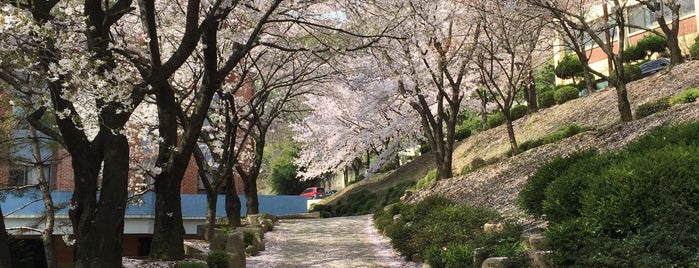 서라벌대학 is one of 경주 / 慶州 / Gyeongju.