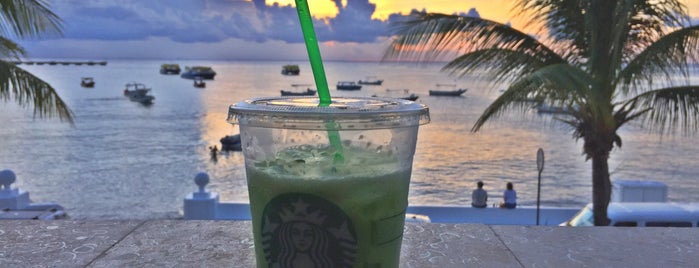 Starbucks is one of Quintana Roo y Yucatán.