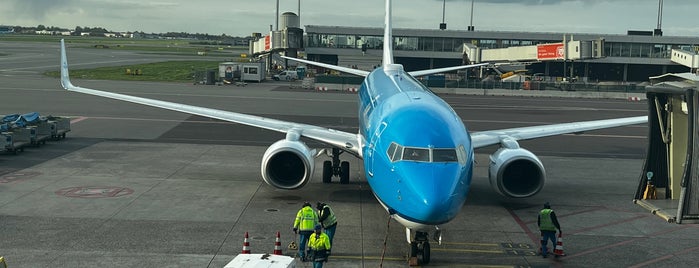 Gate D56 is one of Schiphol gates.