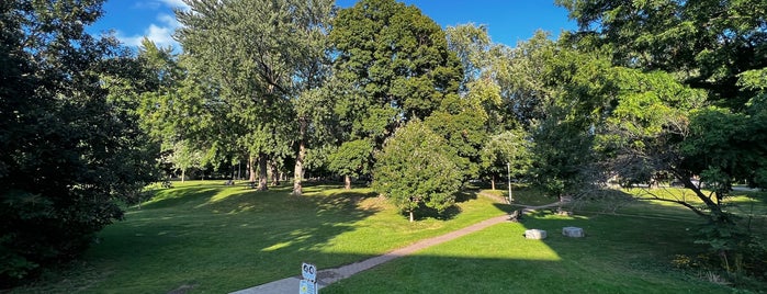 Dufferin Grove Park is one of Toronto Basketball Courts.