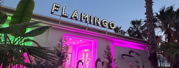 Flamingolounge No:7 is one of BeAch.