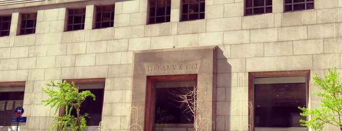 Tiffany & Co. - The Landmark is one of NY.