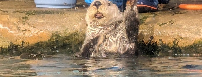 Marine World Uminonakamichi is one of Yuka’s Liked Places.