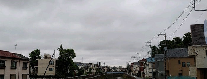 大正橋 is one of 中原区、高津区.